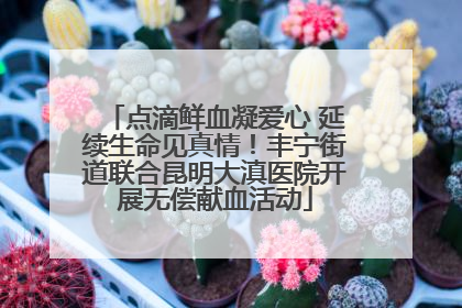 点滴鲜血凝爱心 延续生命见真情！丰宁街道联合昆明大滇医院开展无偿献血活动