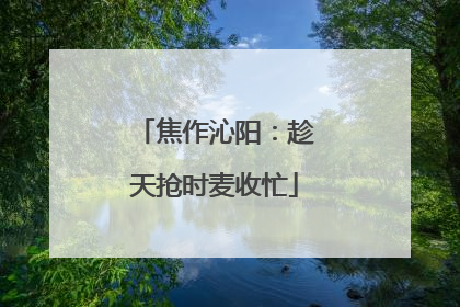 焦作沁阳：趁天抢时麦收忙