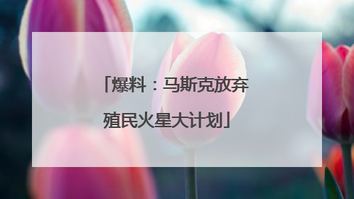 爆料：马斯克放弃殖民火星大计划