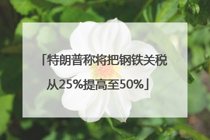 特朗普称将把钢铁关税从25%提高至50%