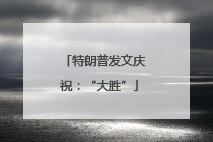 特朗普发文庆祝：“大胜”