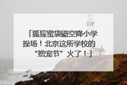 狐獴蜜袋鼯空降小学操场！北京这所学校的“撸宠节”火了！