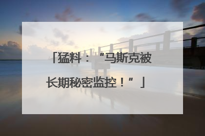 猛料：“马斯克被长期秘密监控！”