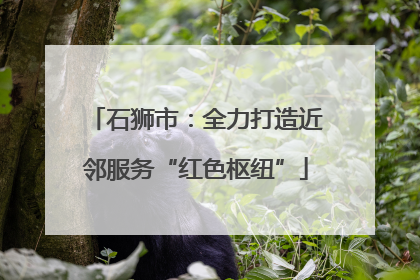 石狮市：全力打造近邻服务“红色枢纽”