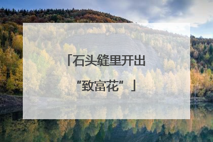 石头缝里开出“致富花”