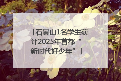 石景山1名学生获评2025年首都“新时代好少年”