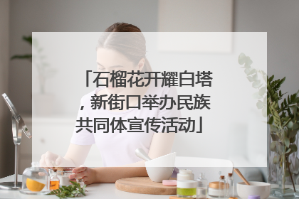 石榴花开耀白塔，新街口举办民族共同体宣传活动
