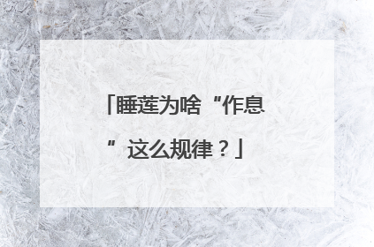 睡莲为啥“作息”这么规律？
