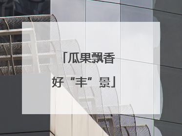 瓜果飘香 好“丰”景