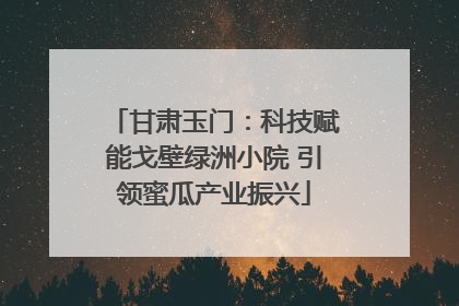 甘肃玉门：科技赋能戈壁绿洲小院 引领蜜瓜产业振兴