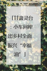 甘肃灵台：小车间榨出乡村全面振兴“幸福油”