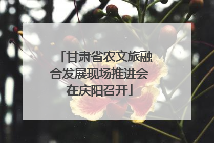 甘肃省农文旅融合发展现场推进会在庆阳召开