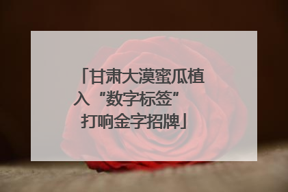 甘肃大漠蜜瓜植入“数字标签” 打响金字招牌