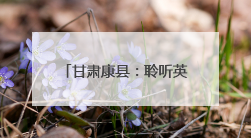 甘肃康县：聆听英雄故事 传承革命精神——抗美援朝老兵讲故事进军营