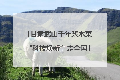 甘肃武山千年浆水菜“科技焕新”走全国
