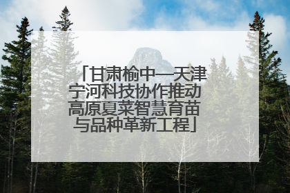 甘肃榆中—天津宁河科技协作推动高原夏菜智慧育苗与品种革新工程