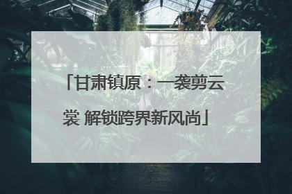 甘肃镇原：一袭剪云裳 解锁跨界新风尚