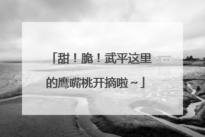 甜！脆！武平这里的鹰嘴桃开摘啦～