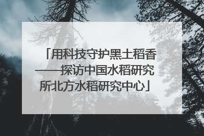 用科技守护黑土稻香——探访中国水稻研究所北方水稻研究中心