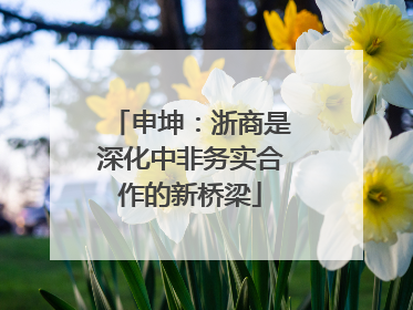 申坤：浙商是深化中非务实合作的新桥梁