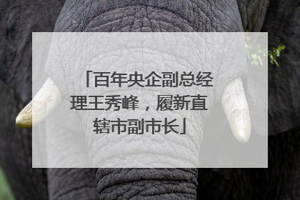 百年央企副总经理王秀峰，履新直辖市副市长