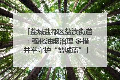 盐城盐都区盐渎街道：强化油烟治理 多措并举守护“盐城蓝”