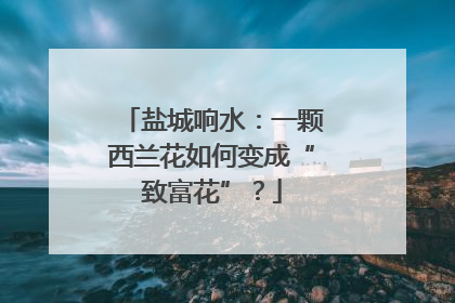 盐城响水：一颗西兰花如何变成“致富花”？