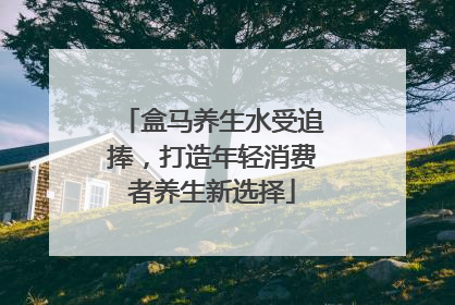 盒马养生水受追捧，打造年轻消费者养生新选择