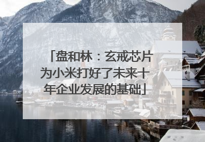 盘和林：玄戒芯片为小米打好了未来十年企业发展的基础