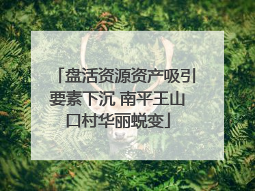 盘活资源资产吸引要素下沉 南平王山口村华丽蜕变