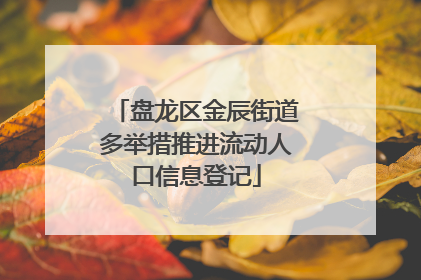 盘龙区金辰街道多举措推进流动人口信息登记