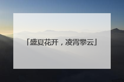 盛夏花开，凌霄攀云