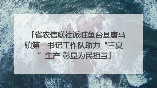 省农信联社派驻鱼台县唐马镇第一书记工作队助力“三夏”生产 彰显为民担当