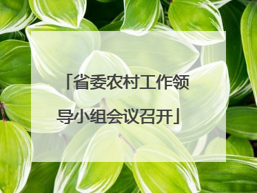 省委农村工作领导小组会议召开