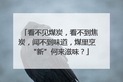 看不见煤炭，看不到焦炭，闻不到味道，煤里烹“新”何来滋味？