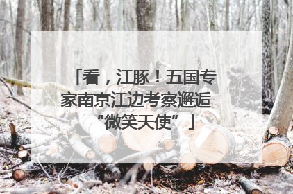 看，江豚！五国专家南京江边考察邂逅“微笑天使”