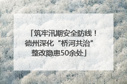 筑牢汛期安全防线！德州深化“桥河共治”整改隐患50余处