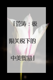 管涛：极限关税下的中美贸易