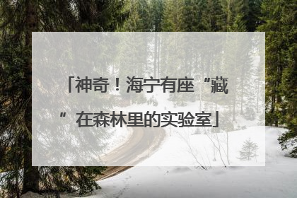 神奇！海宁有座“藏”在森林里的实验室