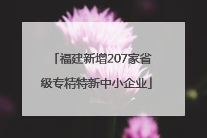 福建新增207家省级专精特新中小企业