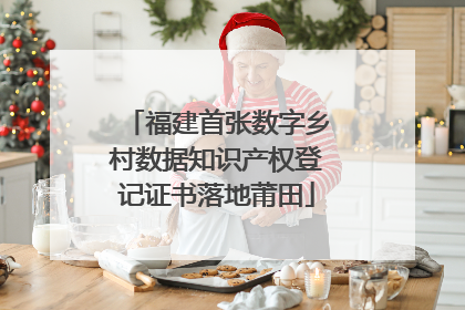 福建首张数字乡村数据知识产权登记证书落地莆田