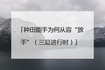 种田能手为何从容“放手”（三夏进行时）
