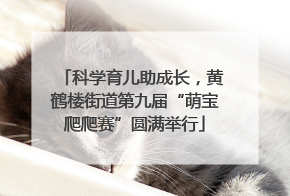 科学育儿助成长，黄鹤楼街道第九届“萌宝爬爬赛”圆满举行