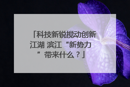 科技新锐搅动创新江湖 滨江“新势力”带来什么？