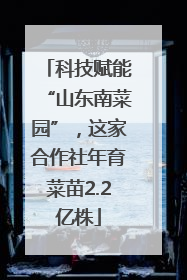 科技赋能“山东南菜园”，这家合作社年育菜苗2.2亿株
