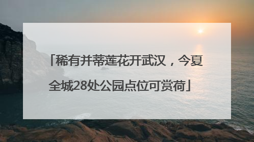 稀有并蒂莲花开武汉，今夏全城28处公园点位可赏荷