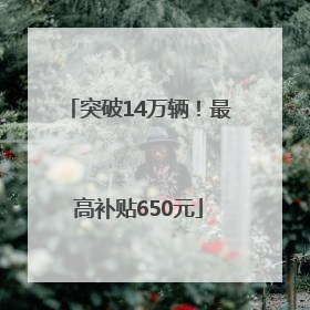 突破14万辆！最高补贴650元