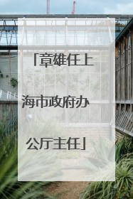 章雄任上海市政府办公厅主任