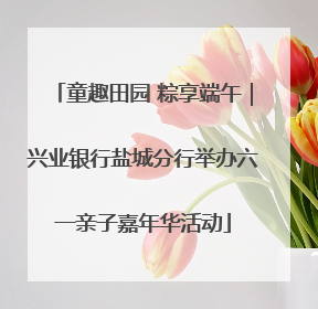 童趣田园 粽享端午｜兴业银行盐城分行举办六一亲子嘉年华活动