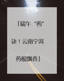 端午“药”诀！云南宁洱药根飘香